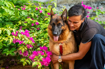 German Shepherd in Garden