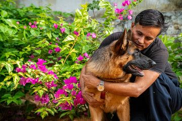 German Shepherd in Garden