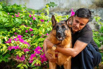 German Shepherd in Garden