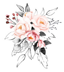 Fototapeta na wymiar Peonies, watercolor pink and gray flowers. Floral summer vintage illustration isolated on white background. Hand drawing. Perfectly for wedding, birthday, party, other greetings design.