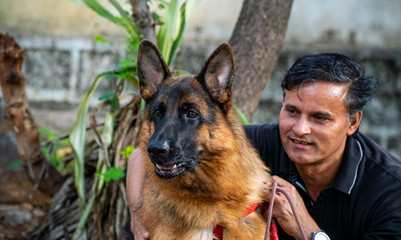 German Shepherd in Garden