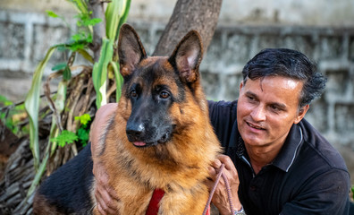 German Shepherd in Garden
