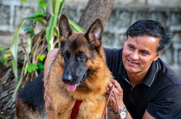 German Shepherd in Garden
