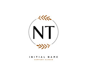 N T NT Beauty vector initial logo, handwriting logo of initial signature, wedding, fashion, jewerly, boutique, floral and botanical with creative template for any company or business.