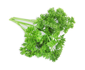 Fresh green organic parsley on white background