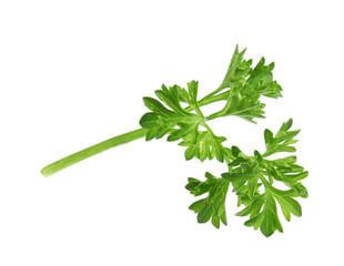 Fresh green organic parsley on white background