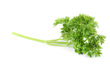 Fresh green organic parsley on white background
