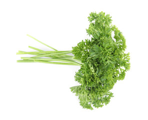 Fresh green organic parsley on white background