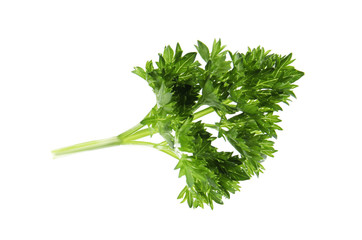 Fresh green organic parsley on white background