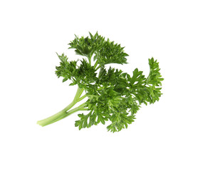 Fresh green organic parsley on white background