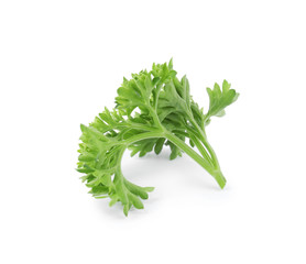 Fresh green organic parsley on white background