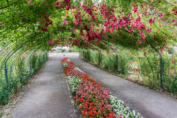 Rose Arbor Tunnel 9