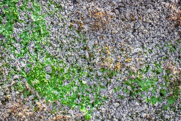 Green grunge rough distress stone background texture