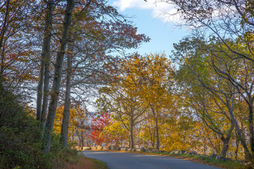 Bear Mountain Part, New York, with autumn colors at October
