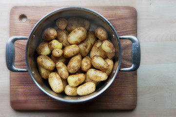 New potatoes in a pot