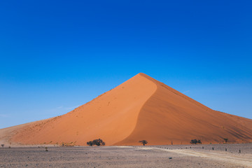 Fototapeta na wymiar Dune de sable en Namibie