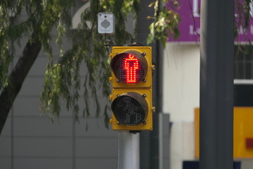 Ampel Fußgänger Mexiko Stadt
