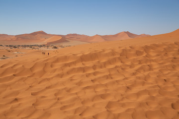 Texture sable sur dunes 