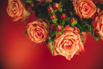 Fototapeta na wymiar Orange roses on a red background