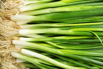 Fresh green onions as background, top view