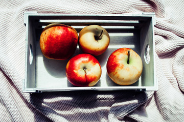 apples in a drawer. summer autumn. close-up