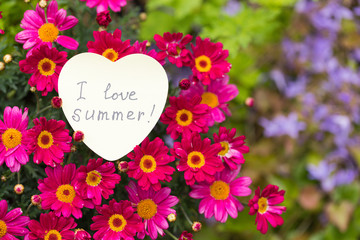 Beautiful Magenta Color Flowers With Handwritten Text ‘I love summer’ are in Floral Garden. Natural Background With Copy Space on Right. Concept: Summertime.