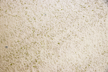 Moss Rough grunge vintage background distressed weathered dirty old texture
