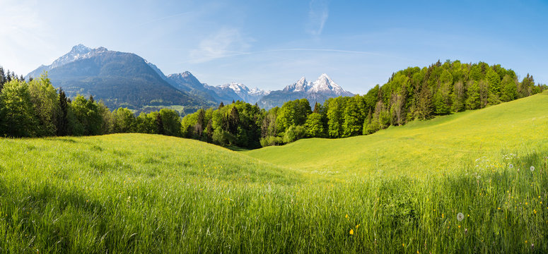 Scenic panoramic view of idyllic rolling hills landscape with blooming meadows and snowcapped alpine mountain peaks in the background on a beautiful sunny day with blue sky and clouds in springtime