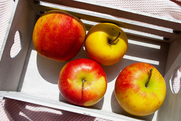 apples in a drawer. summer autumn. close-up