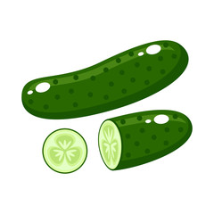 Cucumber on a white background. Vector illustration