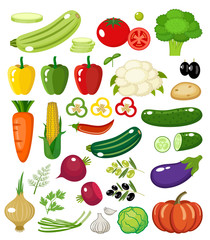 Vegetables on a white background isolated. Vector illustration