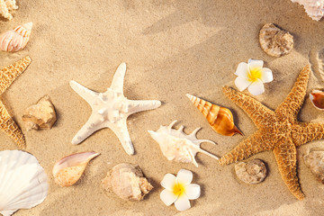 Fototapeta na wymiar Flat lay composition with starfishes and seashells on sandy beach. Space for text