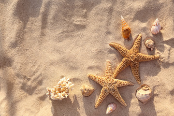 Fototapeta na wymiar Flat lay composition with starfishes and seashells on sandy beach. Space for text