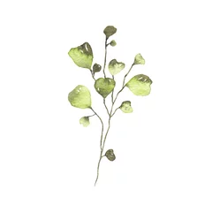 Fotobehang Aquarel tropisch groen bloemen blad plant bos kruid lente © madiwaso