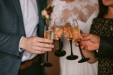 Celebration. Hands holding the glasses of champagne and wine making a toast. The party, wedding, celebration, alcohol, lifestyle, friendship, holiday, christmas, new, year and clinking concept.