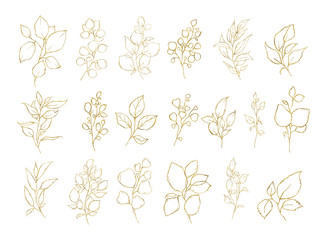 Set of floral golden leaves herbs plants isolated on white background