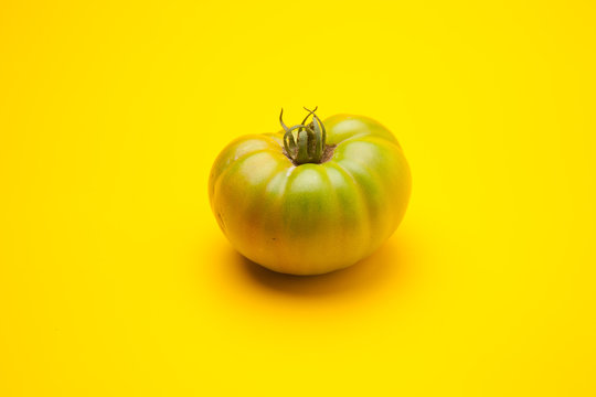 Tomate verde sobre fondo liso, tomate ecol&oacute;gico reci&eacute;n cogido de la mata, tomate verde para que madure fuera de la planta