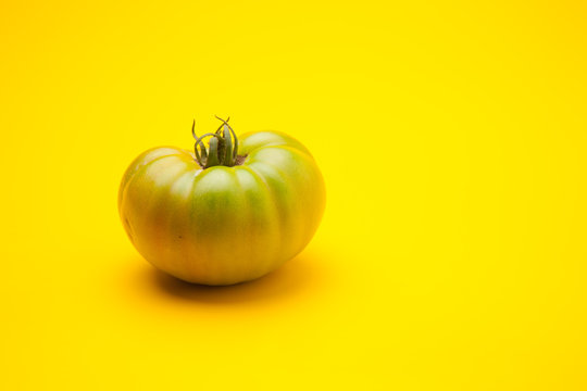 Tomate verde sobre fondo liso, tomate ecol&oacute;gico reci&eacute;n cogido de la mata, tomate verde para que madure fuera de la planta