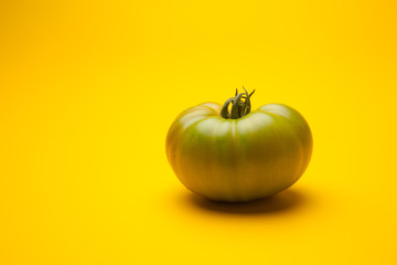 Tomates verdes, recién traidos del huerto. Hay personas que les gustan los tomates verdes. Tomate verde saludable, madurará fuera de la planta, quizás le afecte al sabor y a la calidad final del produ