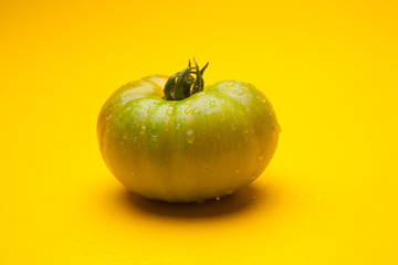 Tomates rojos, frescos y saludables recién traidos del huerto para ser consumidos tanto crudos como cocinados. Comida fresca.