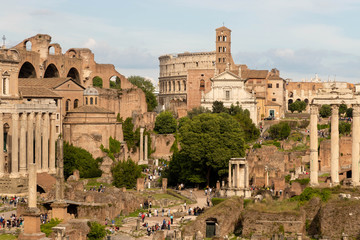 Fototapeta na wymiar Roman forum, the ruins of ancient Rome. Rome, Italy.