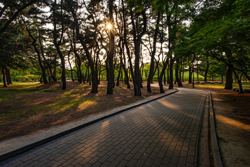 Naklejka na ściany i meble Pedestrian path at the Daereungwon Tombs complex in Gyeongju