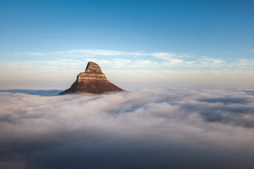 Lions head above the clouds