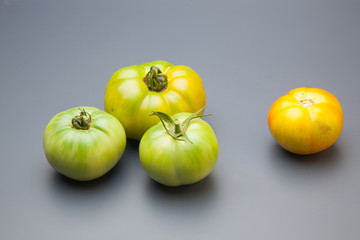 Tomates ecológicos recién traidos del huerto, cultivados de forma ecológica sin pesticidas ni productos químicos.