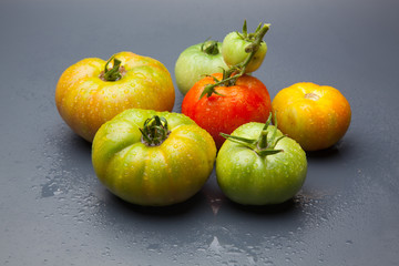 Tomates verdes y rojos, maduros, preparados para ser vendidos en el mercado o para ser preparados y comidos en una ensalada,