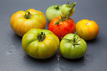 Tomates verdes y rojos, tomates verdes y maduros, recién traidos del huerto y preparados para ser...