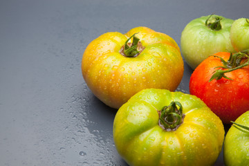 Tomates en proceso de maduración