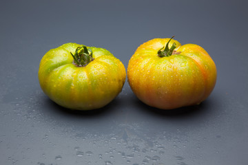 Tomates verdes y rojos, tomates maduros y tomates por madurar; bodegón de tomates ecológicos que no nos los más bonitos del mundo pero si son los más sabrosos y llenos de vitaminas