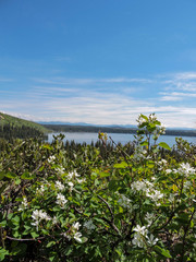 Hiking Trails in Grand Teton National Park