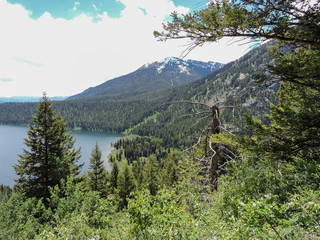 Naklejka premium Hiking Trails in Grand Teton National Park